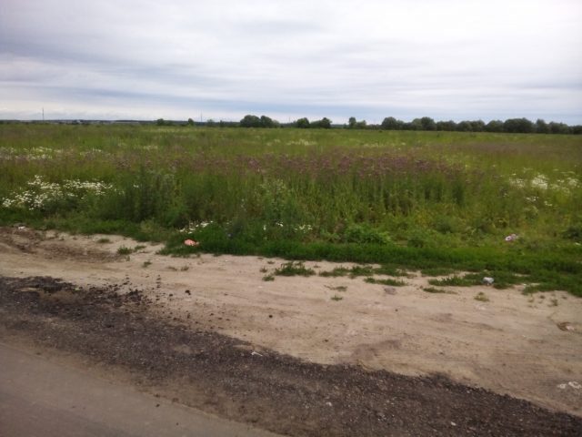 Haier W852. Подкрепление в полку бюджетных смартфонов