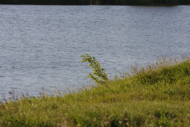 Опыт эксплуатации объектива Tamron SP 150-600 F/5-6.3 VC USD: Зоркий глаз