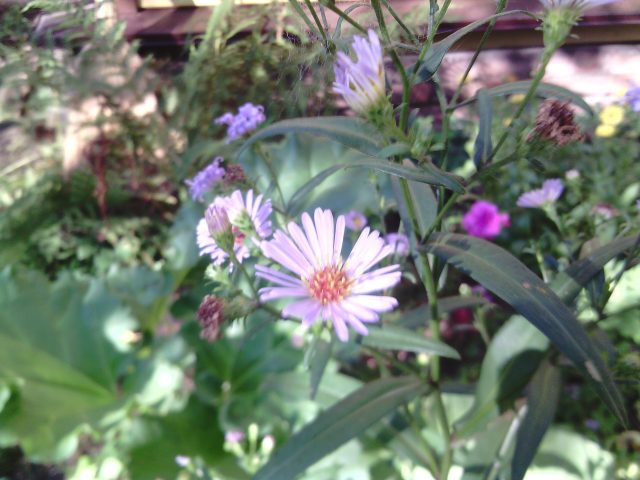 Обзор смартфона SENSEIT L301: Заботливый смартфон