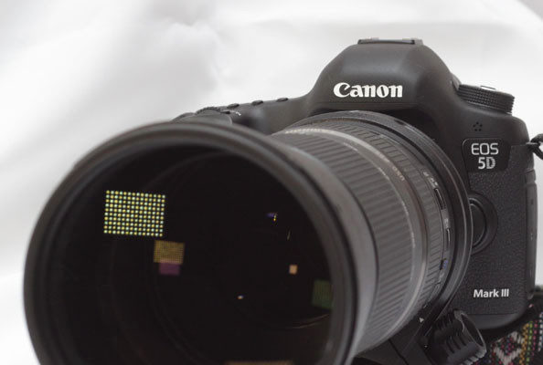 Опыт эксплуатации объектива Tamron SP 150-600 F/5-6.3 VC USD: Зоркий глаз