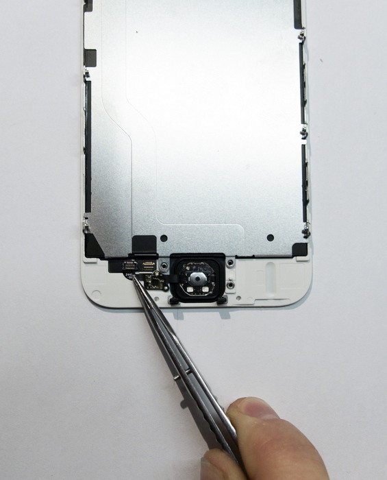 iPhone 6: разбираем в Москве, оцениваем ремонтопригодность и сравниваем с iPhone 5s