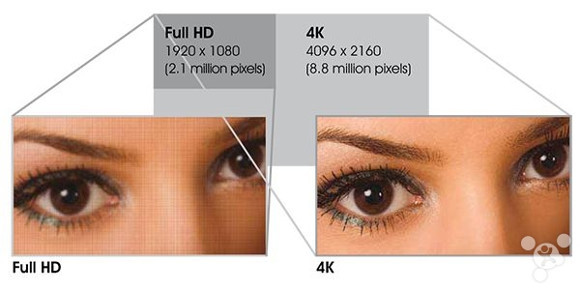 Sharp разработает 4k-экран для смартфонов к 2016 году