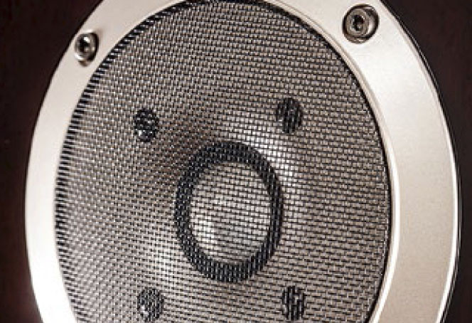 Обзор колонок Fostex GX250MG: «Все меняется, если повернуть ручку регулятора»