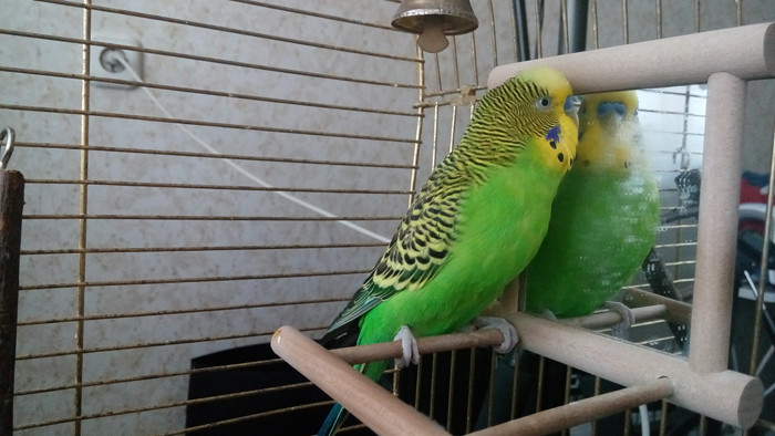 Мощный и неординарный: обзор смартфона Lenovo Vibe X2 на чипсете MediaTek MT6595M