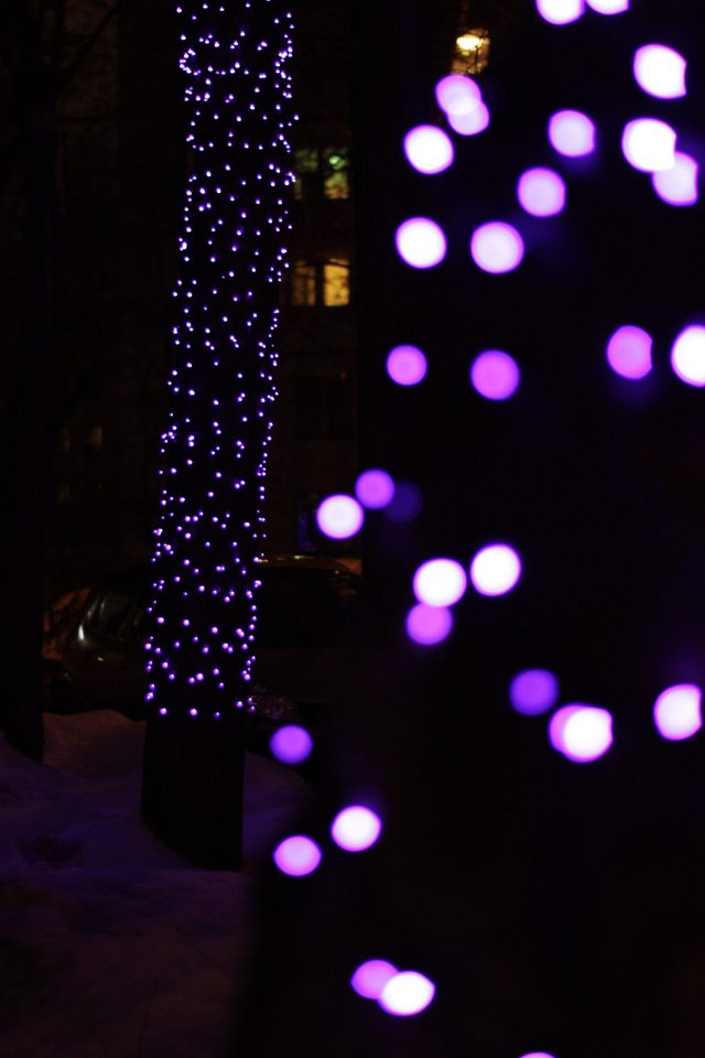 Опыт использования объектива YongNuo YN EF 50 mm F1.8: Что-то новенькое?