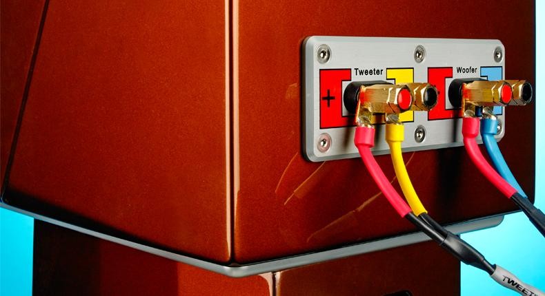 Обзор колонок Wilson Audio Duette II: «Неважно, что именно вы слушаете – этим АС все по душе» картинка Обзор колонок Wilson Audio Duette II: «Неважно, что именно вы слушаете – этим АС все по душе»