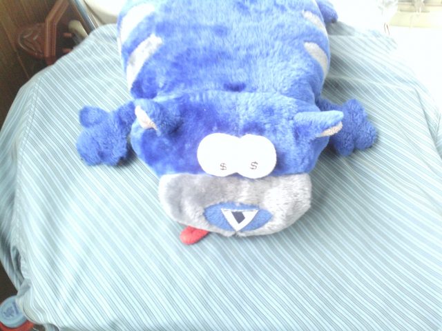 Снимаем планшетом: Обзор фотовозможностей планшетов