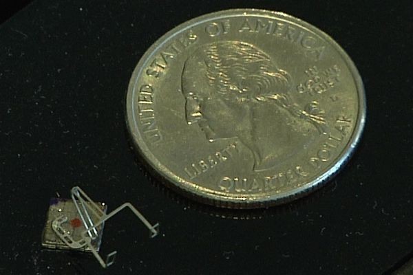 Роботы размером с блоху