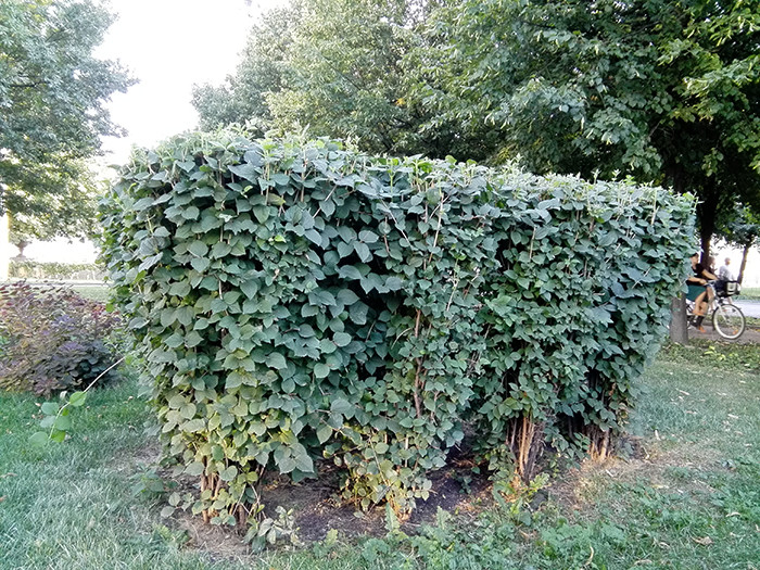 Звуки музыки: Обзор планшета Huawei MediaPad M2