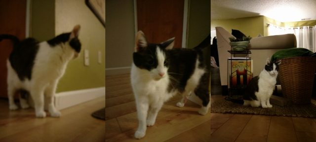 Обзор HTC One A9: Стильный клон iPhone, который не стоит своих денег