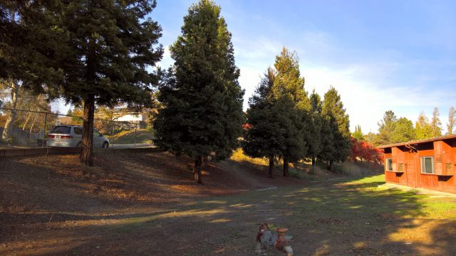 Обзор Microsoft Lumia 950: первый флагманский смартфон с Continuum для Windows 10 Mobile