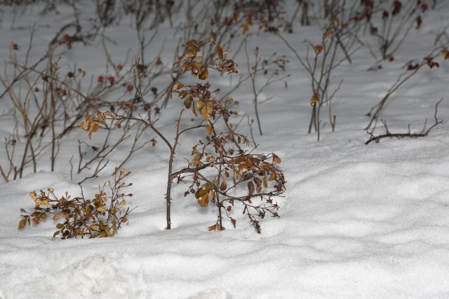 Обзор внешней универсальной вспышки Meike MK930 II: Пыхнуть по полной