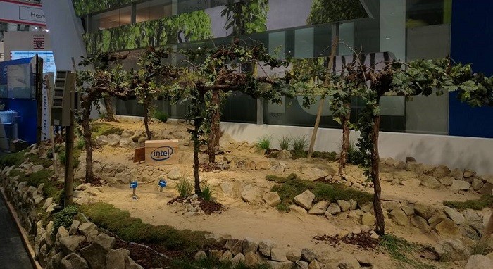 CeBIT 2016. Intel выращивает виноград