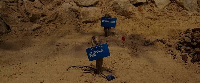 CeBIT 2016. Intel выращивает виноград