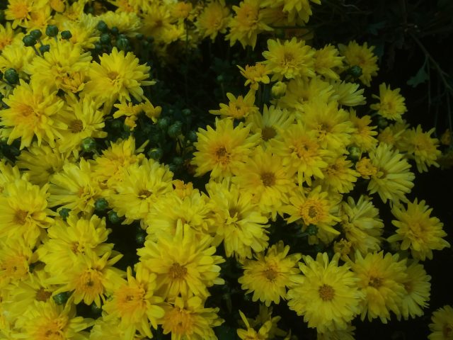 Обзор смартфона BQ BQS-5515 Wide