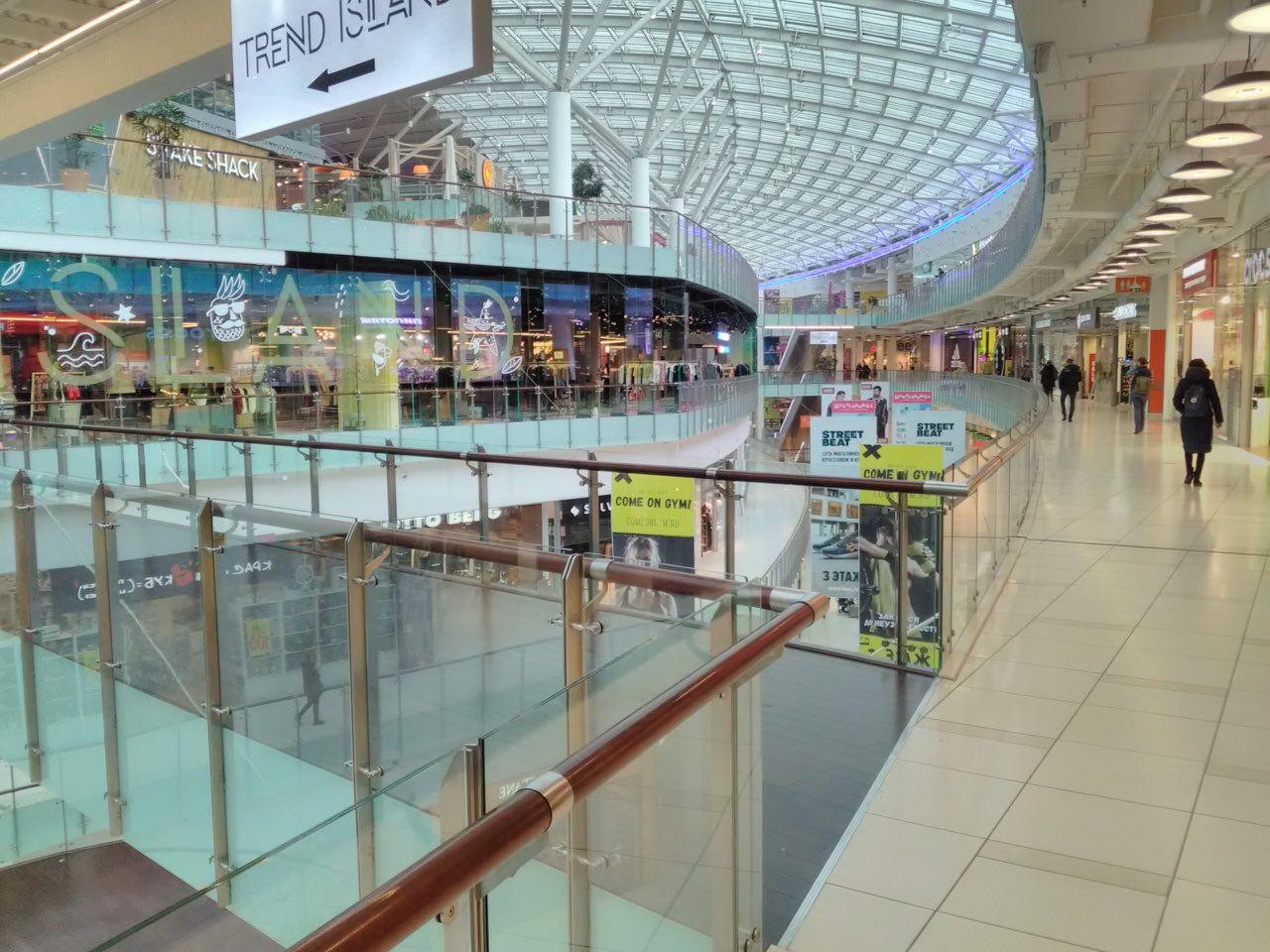 Обзор смартфона Neffos Y5: большой экран, скромная цена картинка Neffos Y5