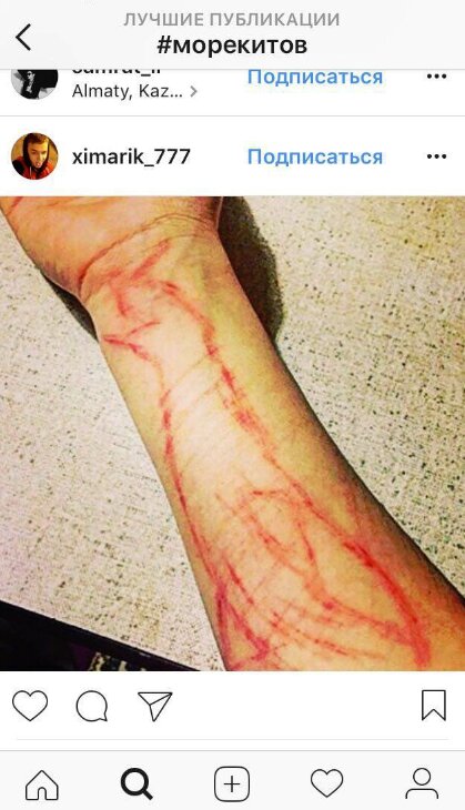 «Группы смерти» теперь есть и в Instagram