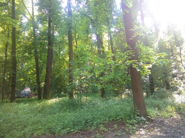 Обзор смартфона BQ-5059 Strike Power: Дешево и сердито