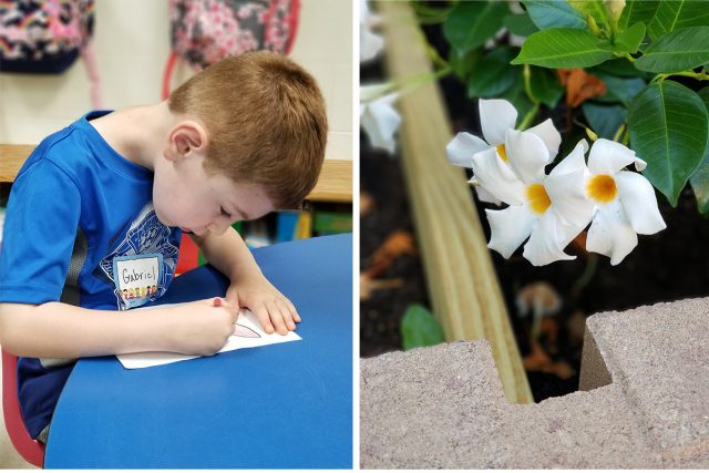 Samsung Galaxy Note 8 обзор