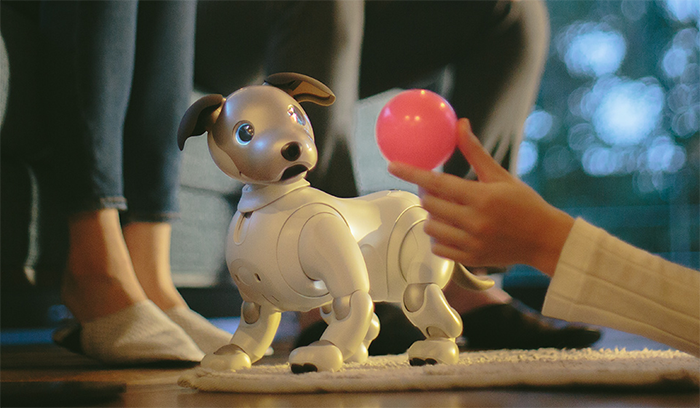 Sony представляет эмоционального робота-пса Aibo нового поколения