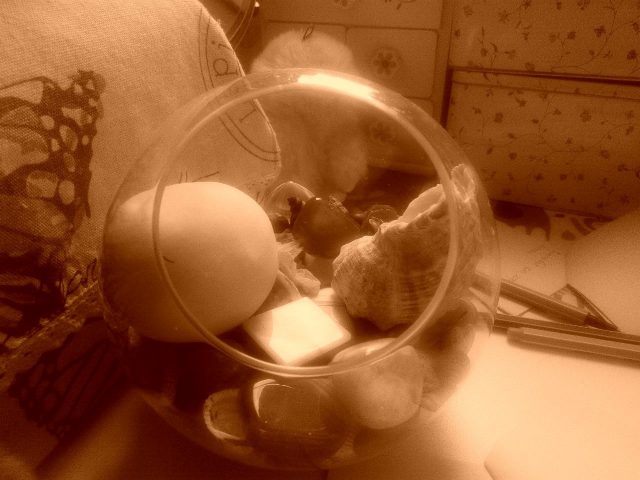 PixelPhone M1 обзор примеры фото