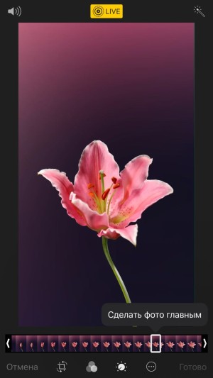 7 интересных функций приложения Фото для iPhone, которые стоит использовать картинка как изменить фото в iPhone