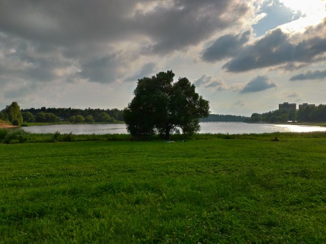 Обзор Asus ZenFone 5: атака клонов или один из лучших смартфонов с монобровью