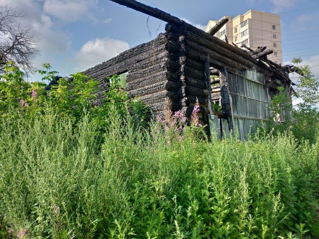 Обзор Asus ZenFone 5: атака клонов или один из лучших смартфонов с монобровью