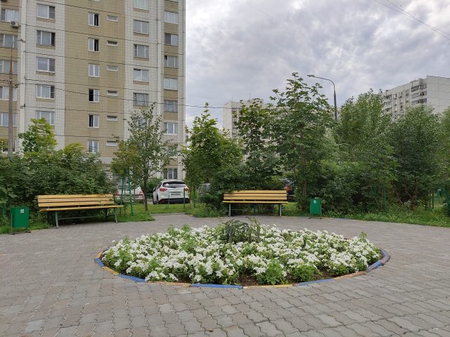 Обзор смартфона Vivo Nex S: будущее уже здесь?