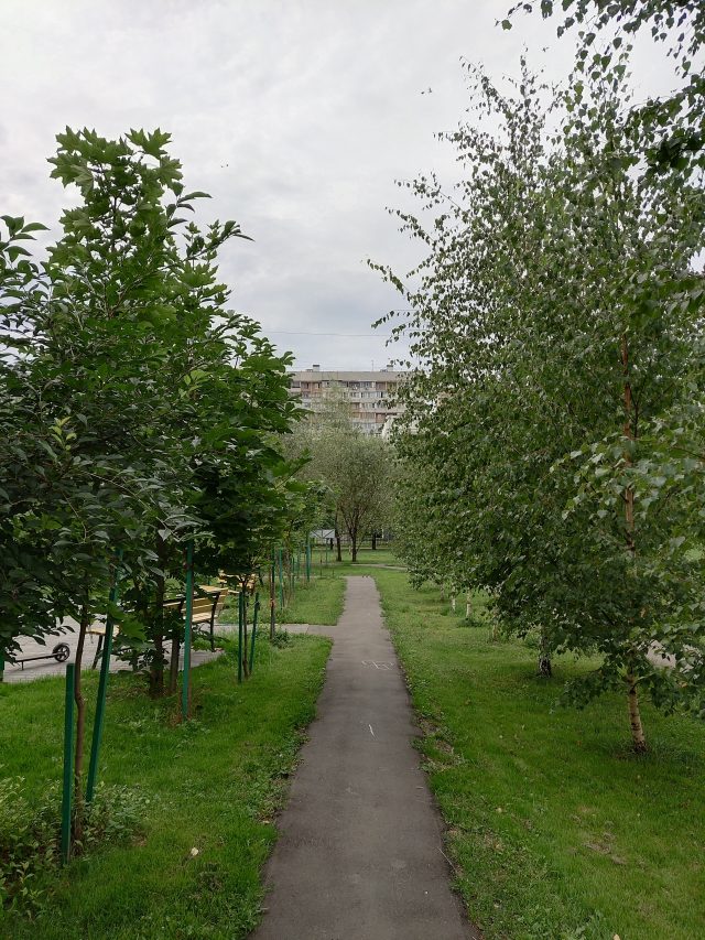 Обзор смартфона Vivo Nex S: будущее уже здесь?