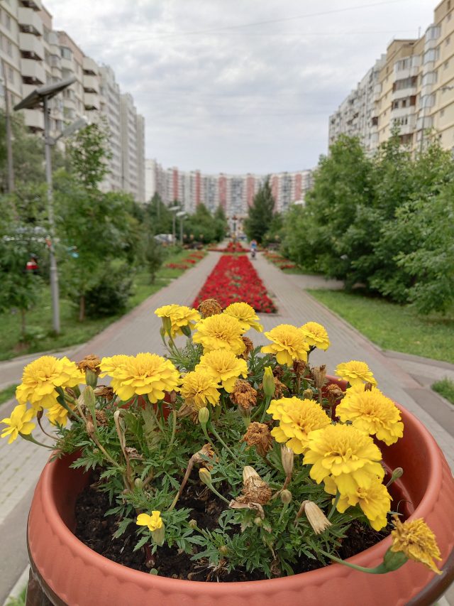 Обзор смартфона Vivo Nex S: будущее уже здесь?