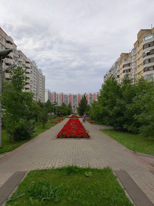 Обзор смартфона Vivo Nex S: будущее уже здесь?