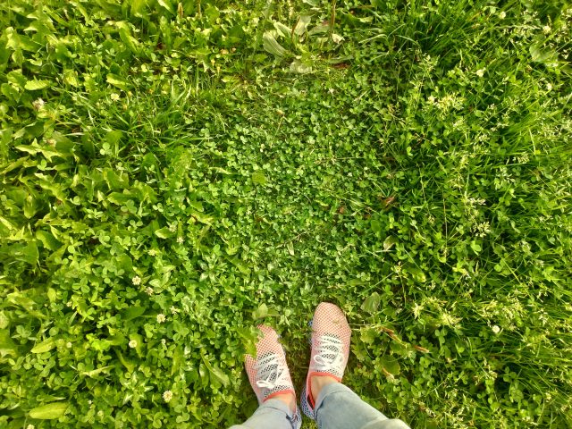 Обзор Asus ZenFone 5: атака клонов или один из лучших смартфонов с монобровью