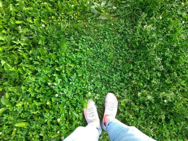 Обзор Asus ZenFone 5: атака клонов или один из лучших смартфонов с монобровью