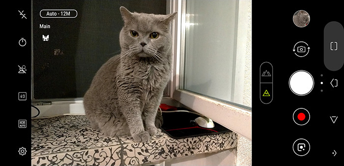 Обзор Asus ZenFone 5: атака клонов или один из лучших смартфонов с монобровью