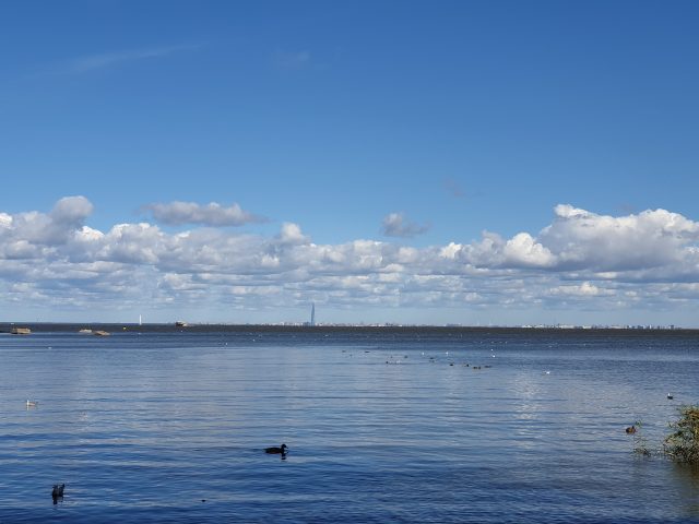 вода смартфон №1