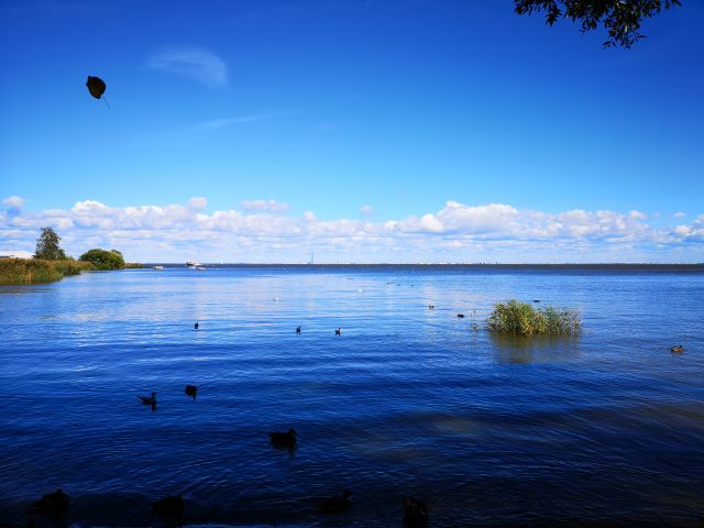 вода смартфон №2