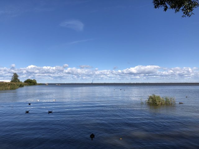 вода смартфон №3