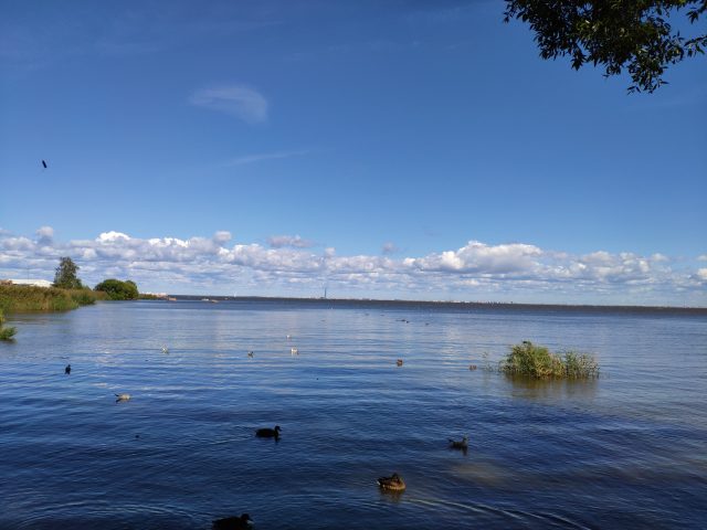 вода смартфон №4