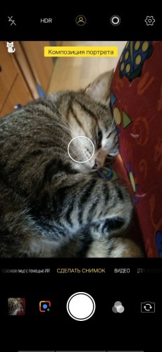 Vivo V12 примеры фото