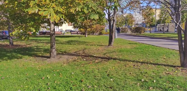 Как снимает Samsung Galaxy A9 - первый в мире смартфон с четырьмя основными камерами