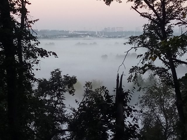 Отзыв об использовании смартфона LG Q7