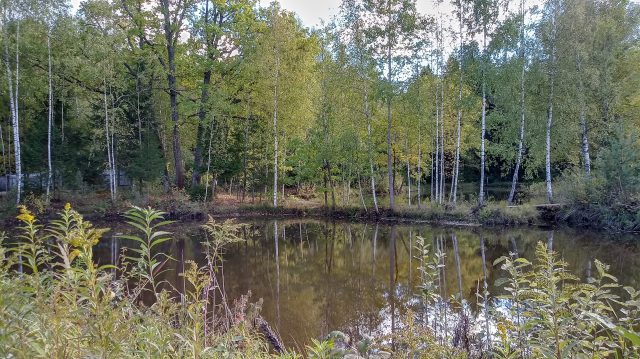 Отзыв об использовании смартфона LG Q7