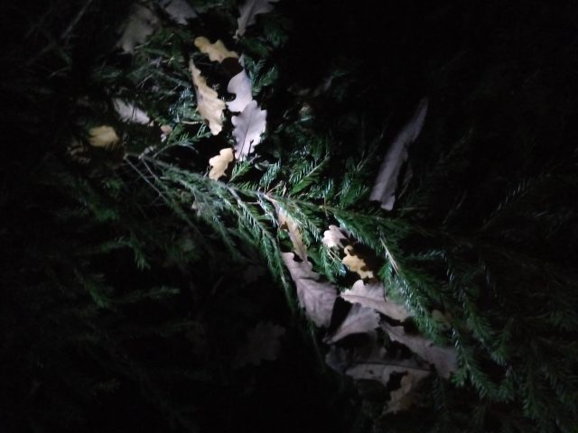 Отзыв об использовании смартфона LG Q7