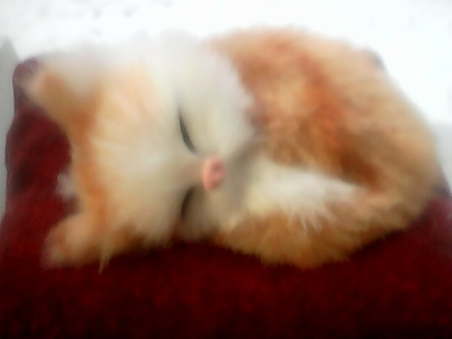 Обзор кнопочного телефона Prestigio Muze L1