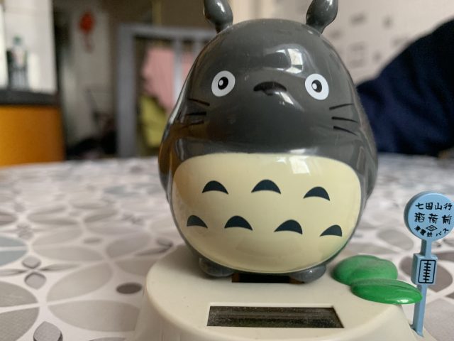 Обзор iPhone Xr примеры фото