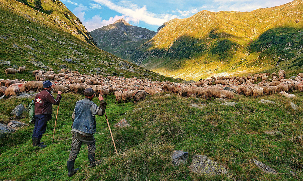 лучшие мобильные фотографии 2018 года