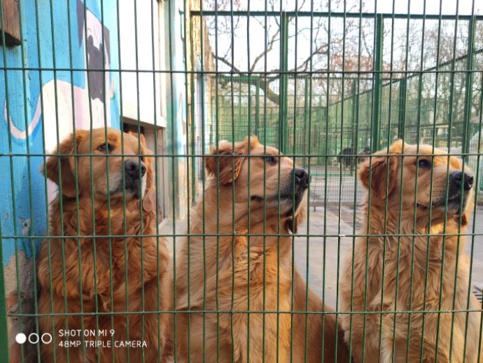 Новый флагман Xiaomi получит тройную основную камеру с 3D-модулем