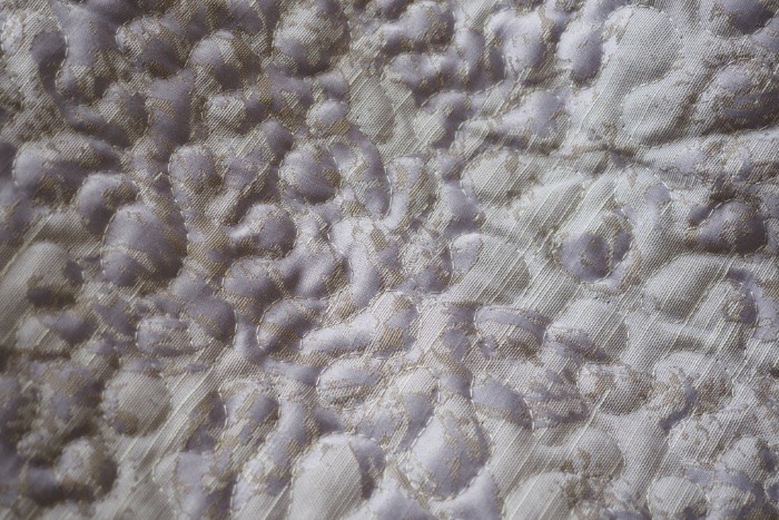 Обзор беззеркальной камеры Olympus OM-D E-M1X: скоростной флагман