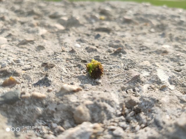 Обзор Xiaomi Mi 9: недорогой флагман фото